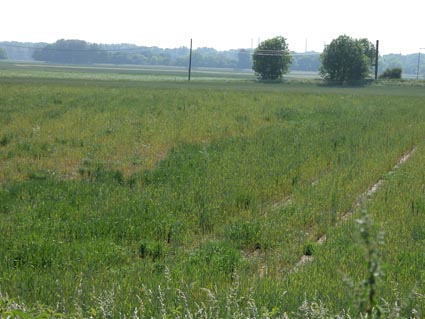 Farnacker-Landschaft