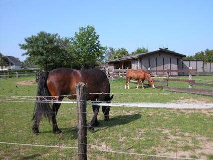 Farnacker-Ranch