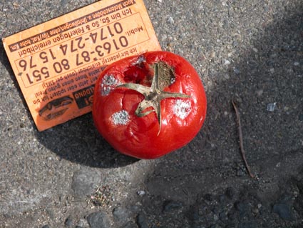 Faule-Tomate