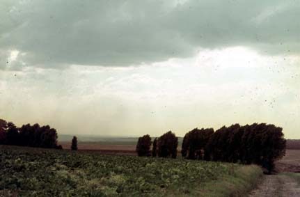 Feldweg