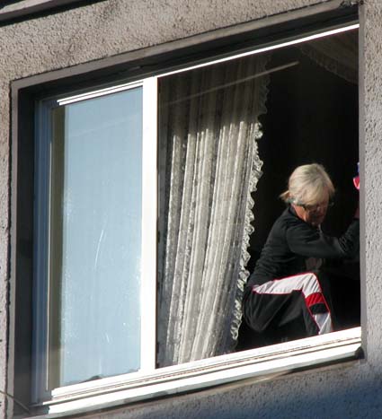 Fenster-putzen