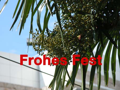 Frohes-Fest