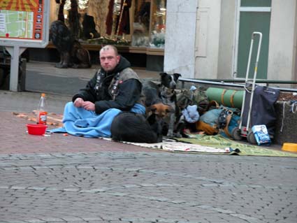 Hausrat-drei-Hunde
