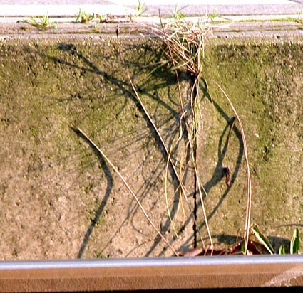 Heitere-Schatten