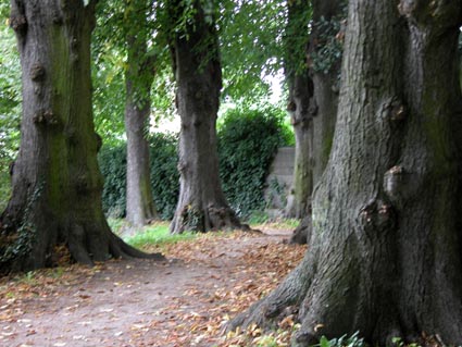 Hochweg