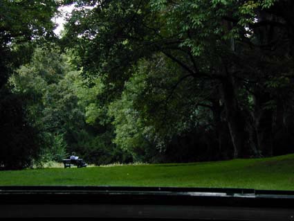 Hofgarten1