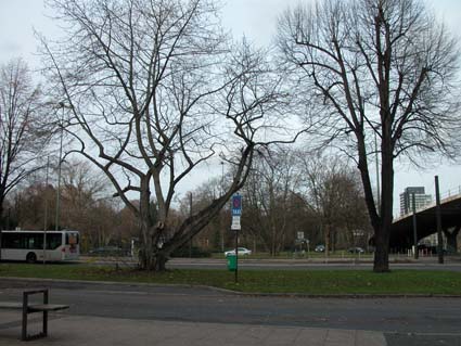 Jan-Wellem-Platz