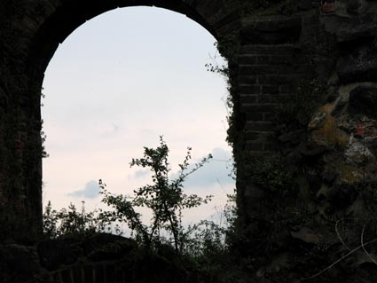 Kaiserpfalz10