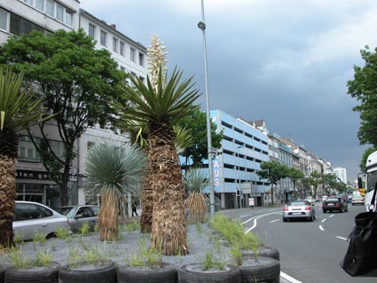 Karlstrasse1