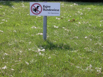 Keine-Hundewiese