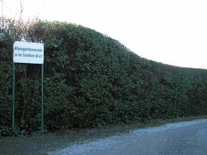 Kleingartenverein-101