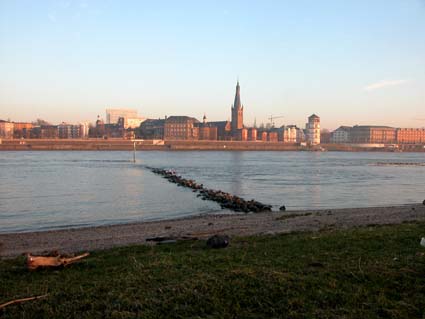 Kribbe