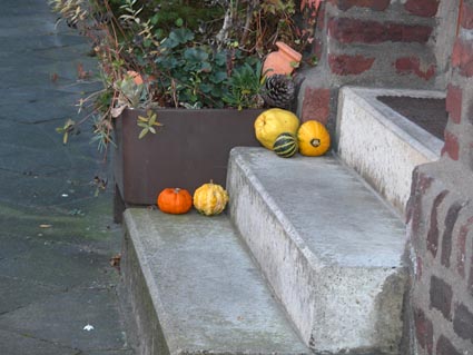 Kuerbisstufen