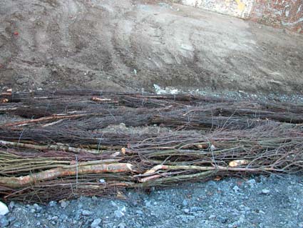 Landart