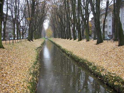 Linden2