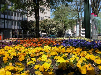 Mostertplatz