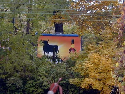 Muh-im-Wald