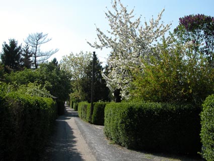 Niersteiner-Weg