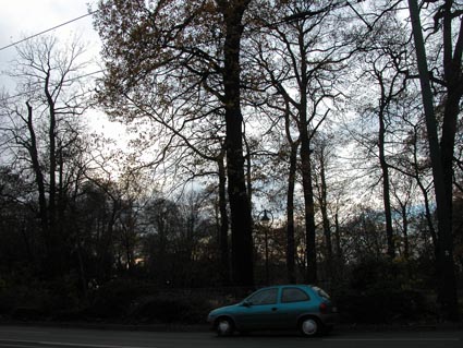 November