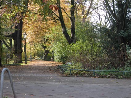 Park-Schwanenspiegel