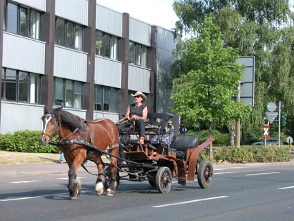 Pferdekutsche