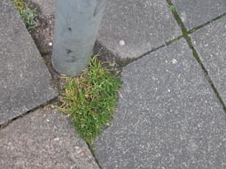 Pfosten2