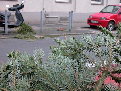 Rest-vom-Fest