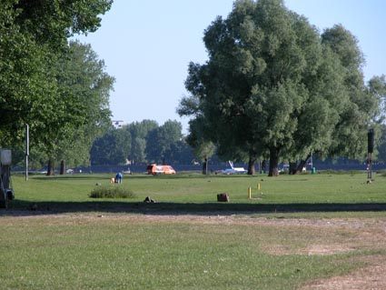Rheinwiese
