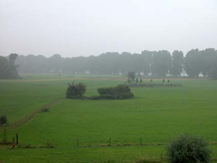 Rheinwiese1
