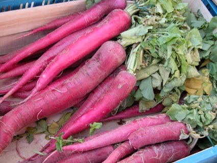 Rote-Radies