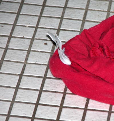 Roter-Fisch