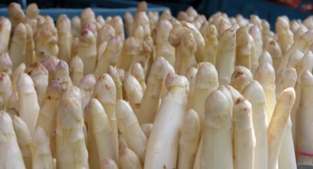 Spargel