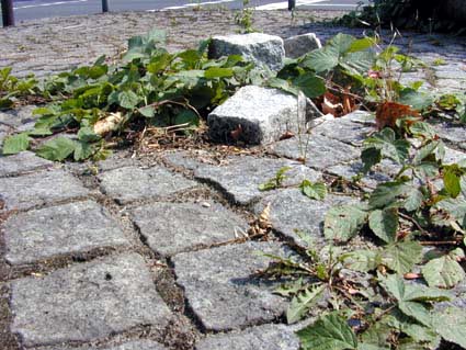 Steinheber
