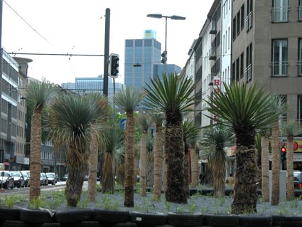 Stresemannplatz