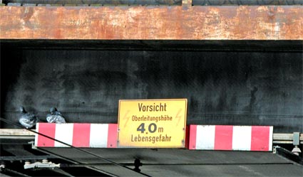 Taubenhort