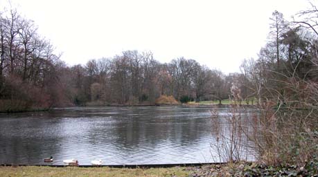 Teich1