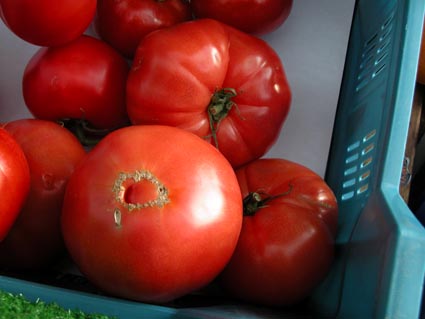 Tomaten