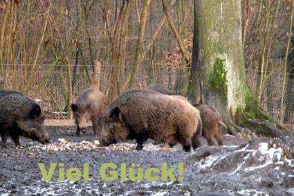 Viel-Glueck