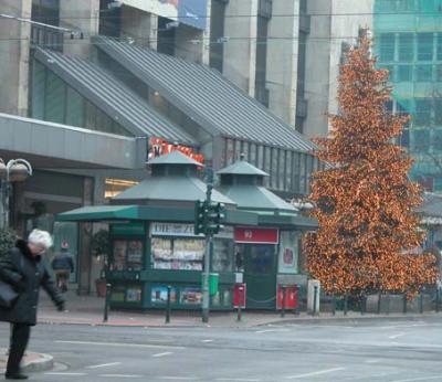 Weihnachtsbaum