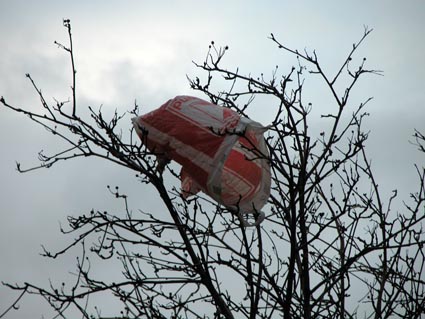 Windbeutel