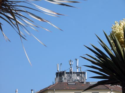 Yucca-Sender
