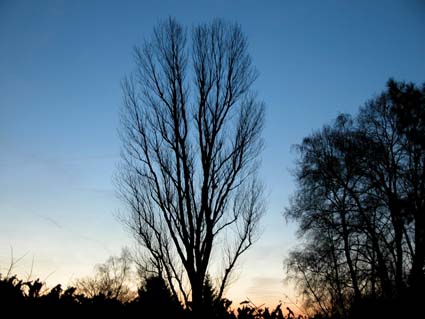 himmelwaerts