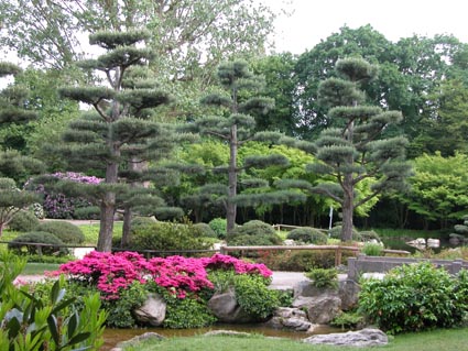 jap-Garten1