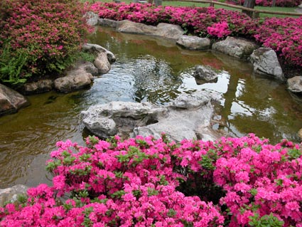 jap-Garten3