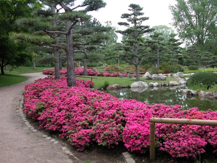 jap-Garten4