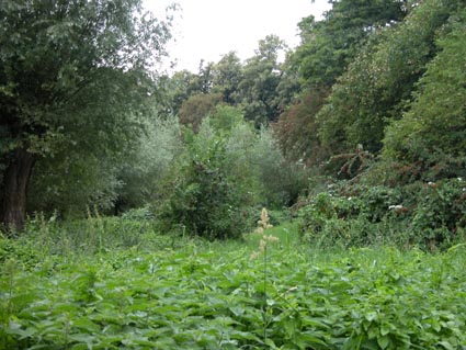 seitlich-des-Weges
