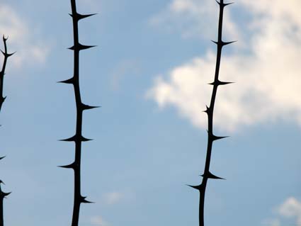 wehrhaft