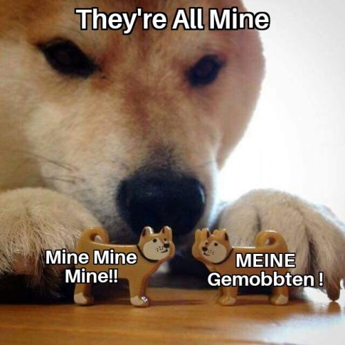 KeinStreitUmOpfer
