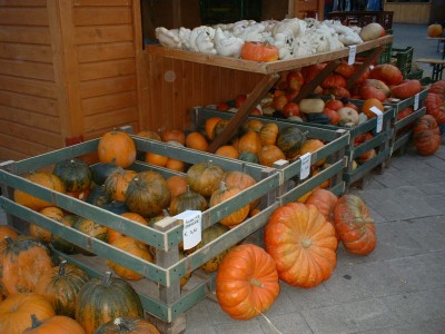 abundance