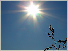 Sonne
